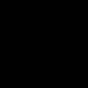 Meet your Posher, Riley